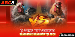 da-ga-truc-tuyen-campuchia-sanh-game-hang-dau-tai-abc8