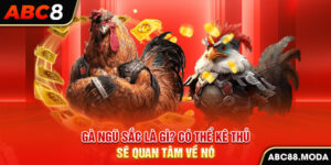 ga-ngu-sac-la-gi-co-the-ke-thu-se-quan-tam-ve-no