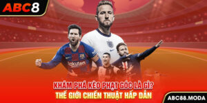 kham-pha-keo-phat-goc-la-gi-the-gioi-chien-thuat-hap-dan