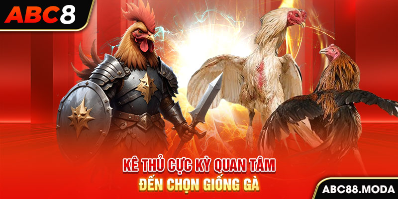 ke-thu-cuc-ky-quan-tam-den-chon-giong-ga