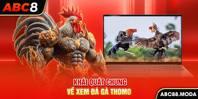 khai-quat-chung-ve-xem-truc-tiep-da-ga-thomo-hom-nay