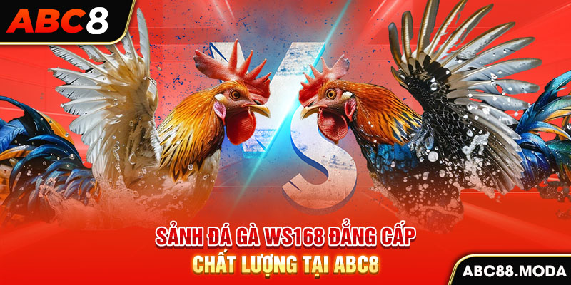 sanh-da-ga-ws168-dang-cap-chat-luong-tai-abc8