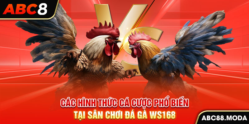 cac-hinh-thuc-ca-cuoc-pho-bien-tai-san-choi-da-ga-ws168