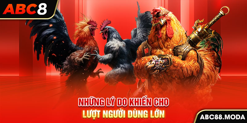 nhung-ly-do-khien-cho-luot-nguoi-dung-lon-