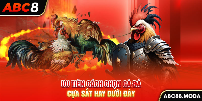 uu-tien-cach-chon-ga-da-cua-sat-hay-duoi-day