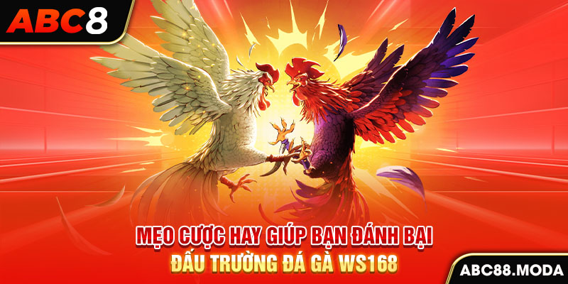 meo-cuoc-hay-giup-ban-danh-bai-dau-truong-da-ga-ws168