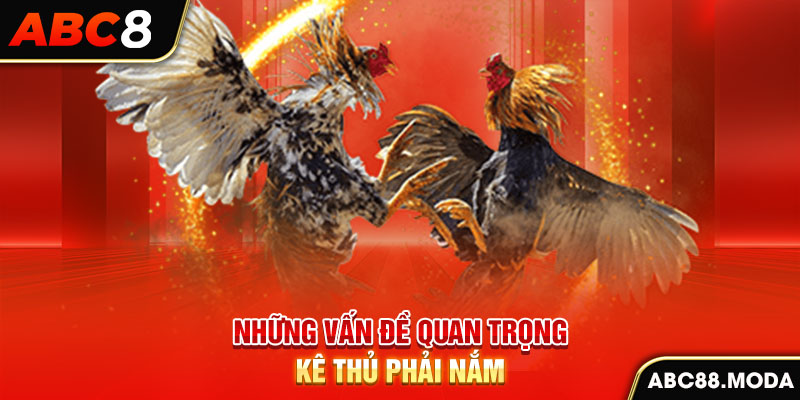 nhung-van-de-quan-trong-ke-thu-phai-nam